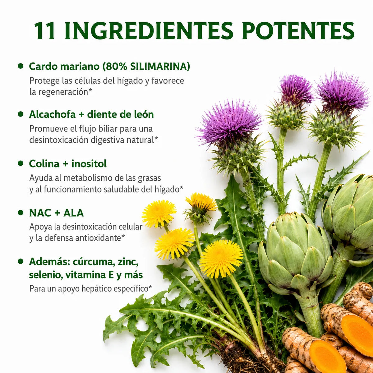 🌿 Liver Support Premium ✨ Apoyo natural para tu hígado + ENVÍO GRATIS 🚚
