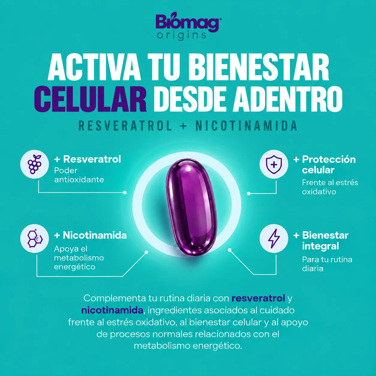 ✨ BIORESVERATROL + NAD – Resveratrol + Nicotinamida | 🚚 Envío Gratis