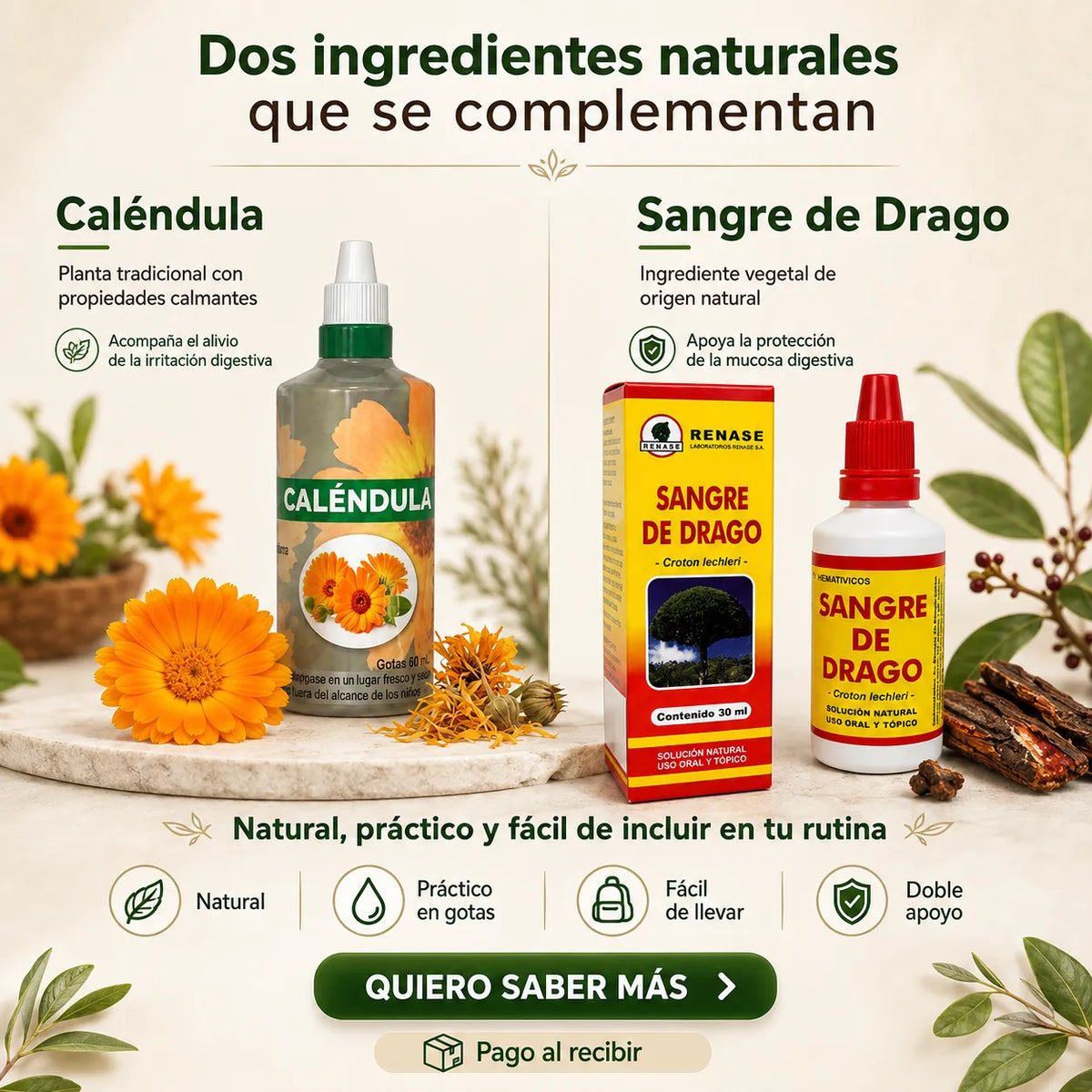 🌿 Combo Estómago en Calma: Caléndula + Sangre de Drago 💚 Envío GRATIS 🚚