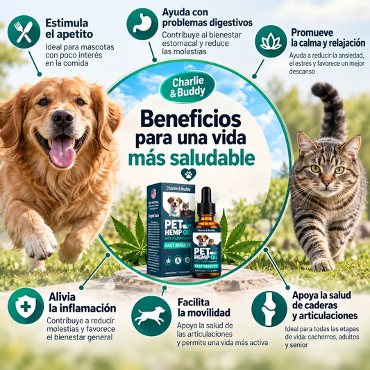 🐾 Pet Hemp Oil + Multivitamin 🌿 para Perros y Gatos 🐶🐱 + ENVÍO GRATIS