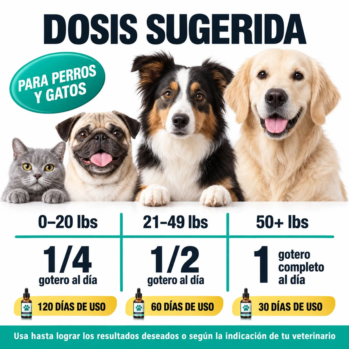 🐾 Pet Hemp Oil + Multivitamin 🌿 para Perros y Gatos 🐶🐱 + ENVÍO GRATIS