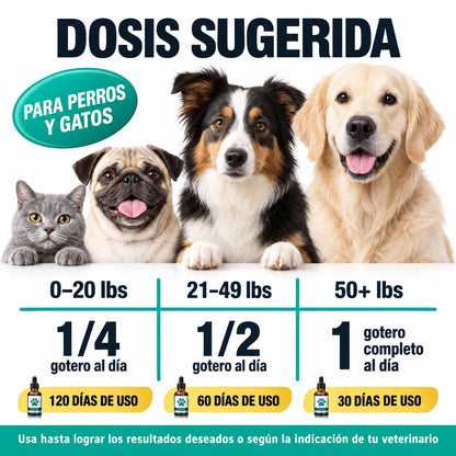 🐾 Pet Hemp Oil + Multivitamin 🌿 para Perros y Gatos 🐶🐱 + ENVÍO GRATIS